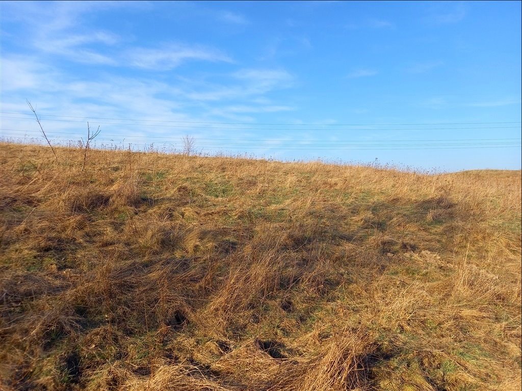 Działka budowlana na sprzedaż Świebodzice  2 252m2 Foto 20