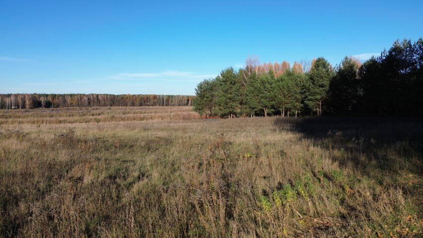 Działka rolna na sprzedaż Kolonia Jurki  14 677m2 Foto 8