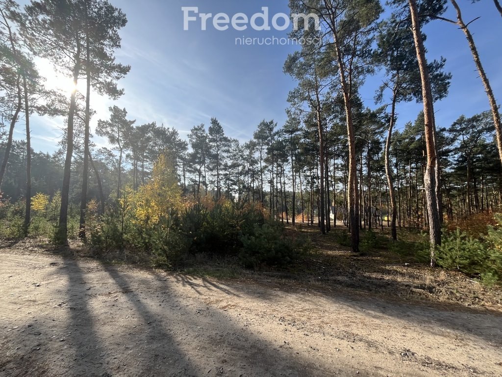 Działka budowlana na sprzedaż Czarne Błoto, Górna  1 000m2 Foto 3