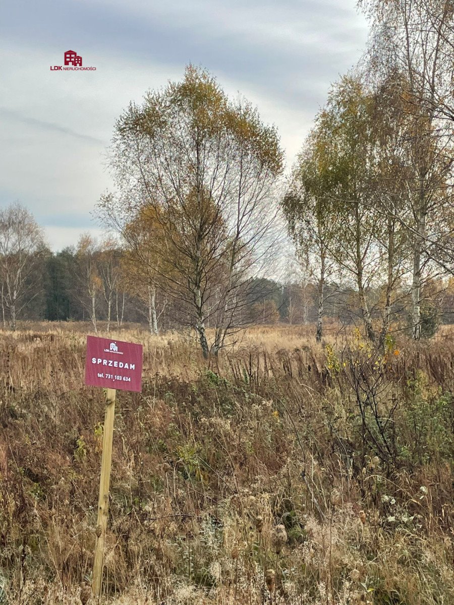 Działka budowlana na sprzedaż Zielona Góra  35 300m2 Foto 16