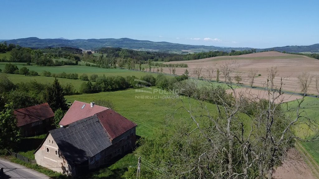 Dom na sprzedaż Pustelnik  270m2 Foto 9