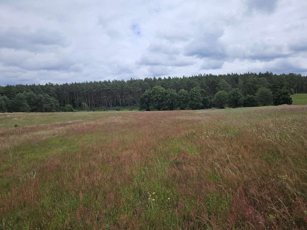 Działka budowlana na sprzedaż Klepin  1 204m2 Foto 7