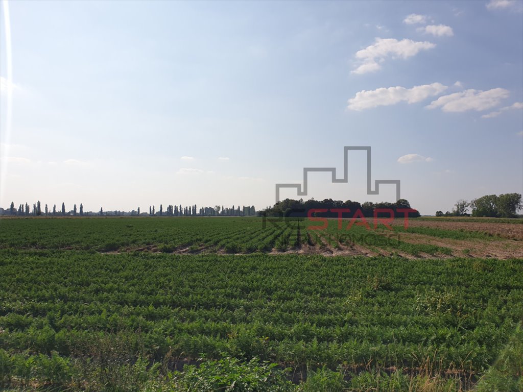 Działka rolna na sprzedaż Żuków  32 900m2 Foto 1