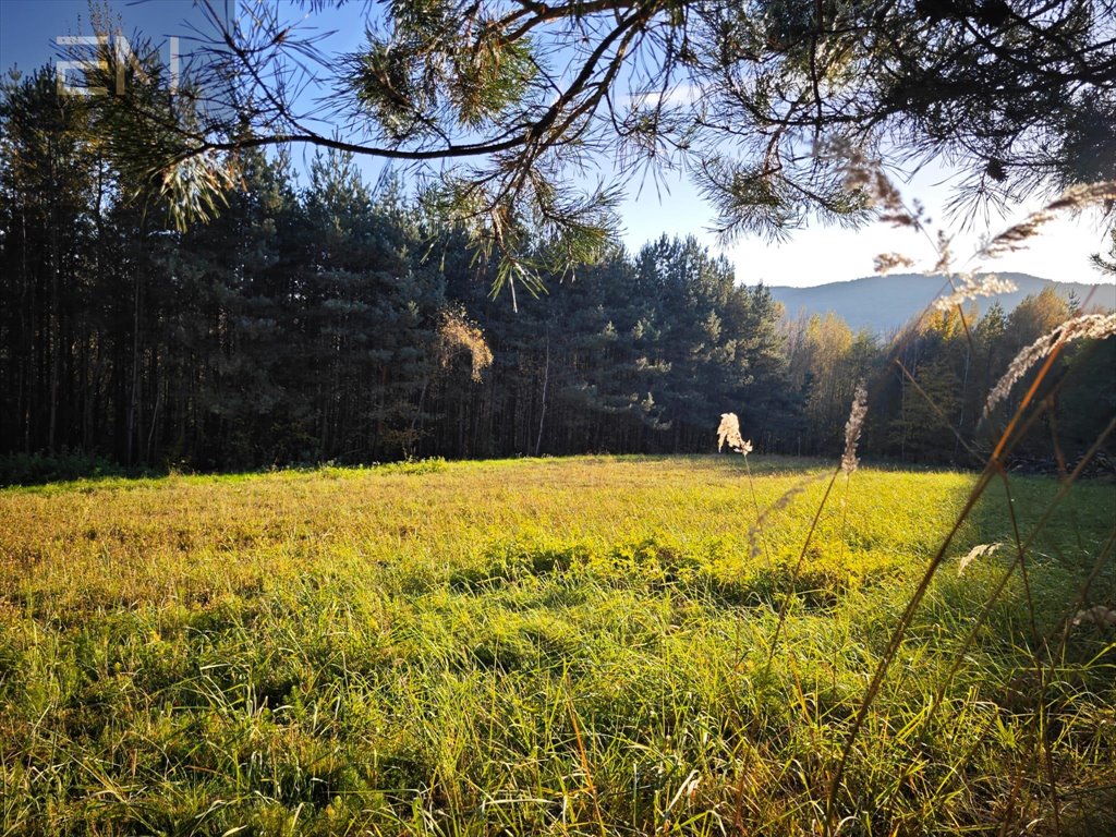 Działka budowlana na sprzedaż Wysoka Strzyżowska  2 700m2 Foto 8