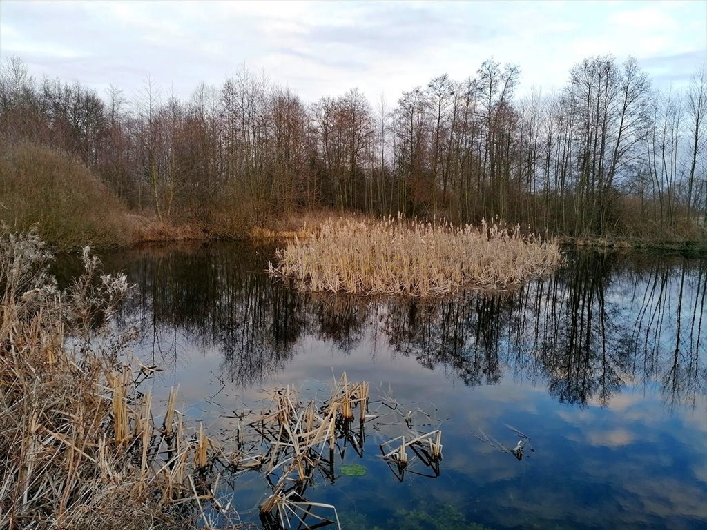 Działka 3000 m2 z widokiem na las, dostęp do drogi Zawada  3 000m2 Foto 1