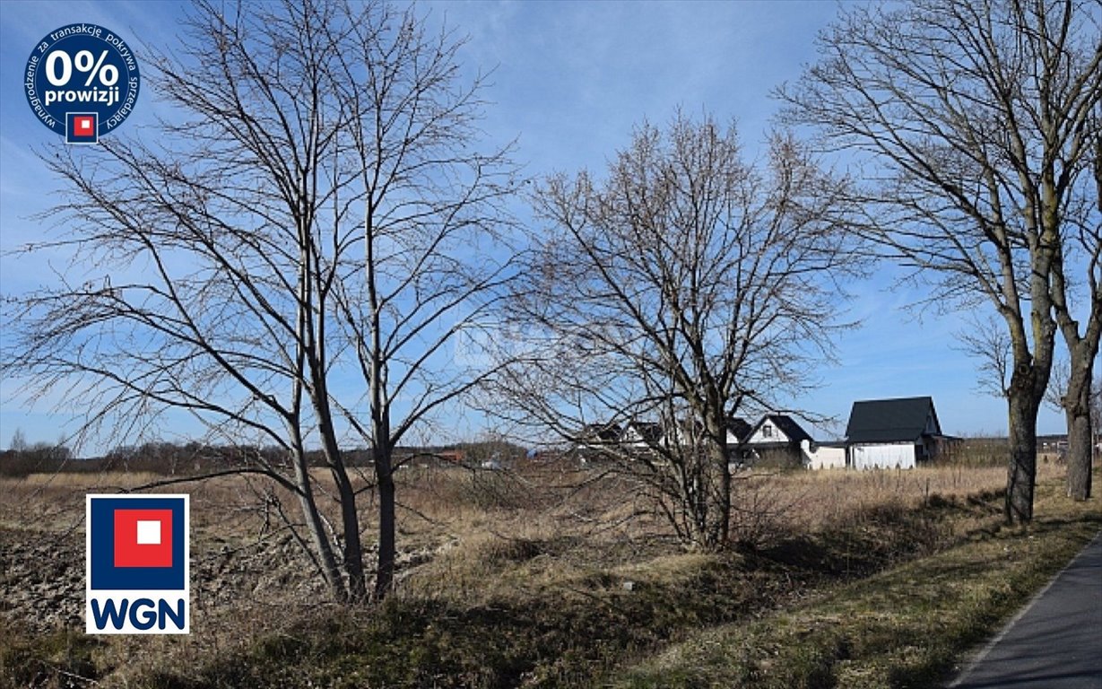 Działka budowlana na sprzedaż Jezierzany, Jezierzany  20 329m2 Foto 1