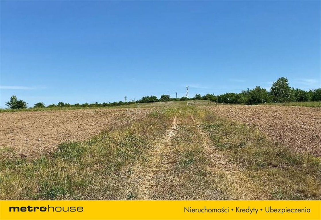 Działka budowlana na sprzedaż Choroń  1 000m2 Foto 4