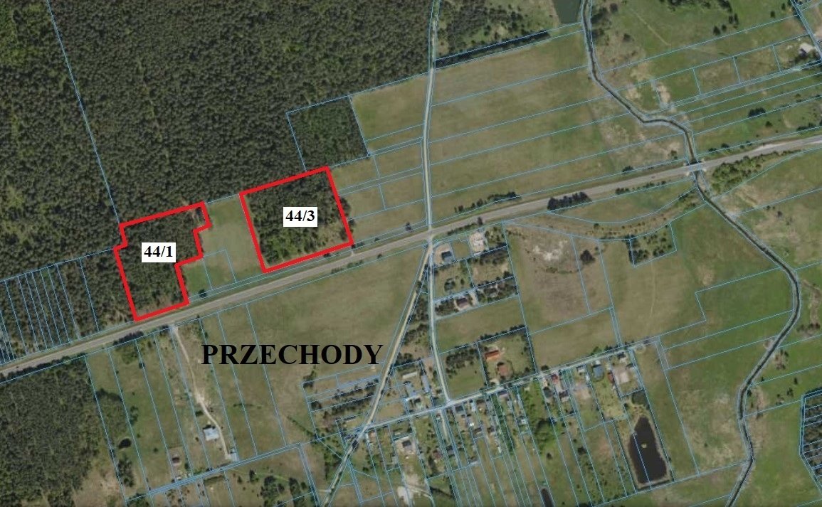 Działki leśne 36 853 m² z dojazdem, własność - polecam! Przechody  36 853m2 Foto 1