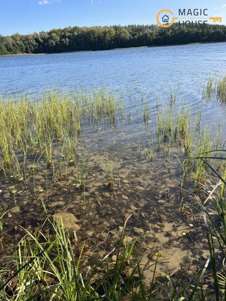 Działka budowlana na sprzedaż Starzno  93 810m2 Foto 7