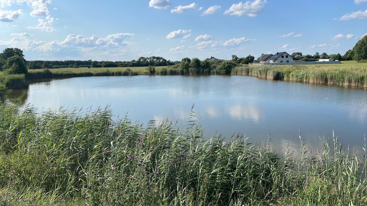 Działka budowlana na sprzedaż Studzieniec, Międzylesie  1 700m2 Foto 8