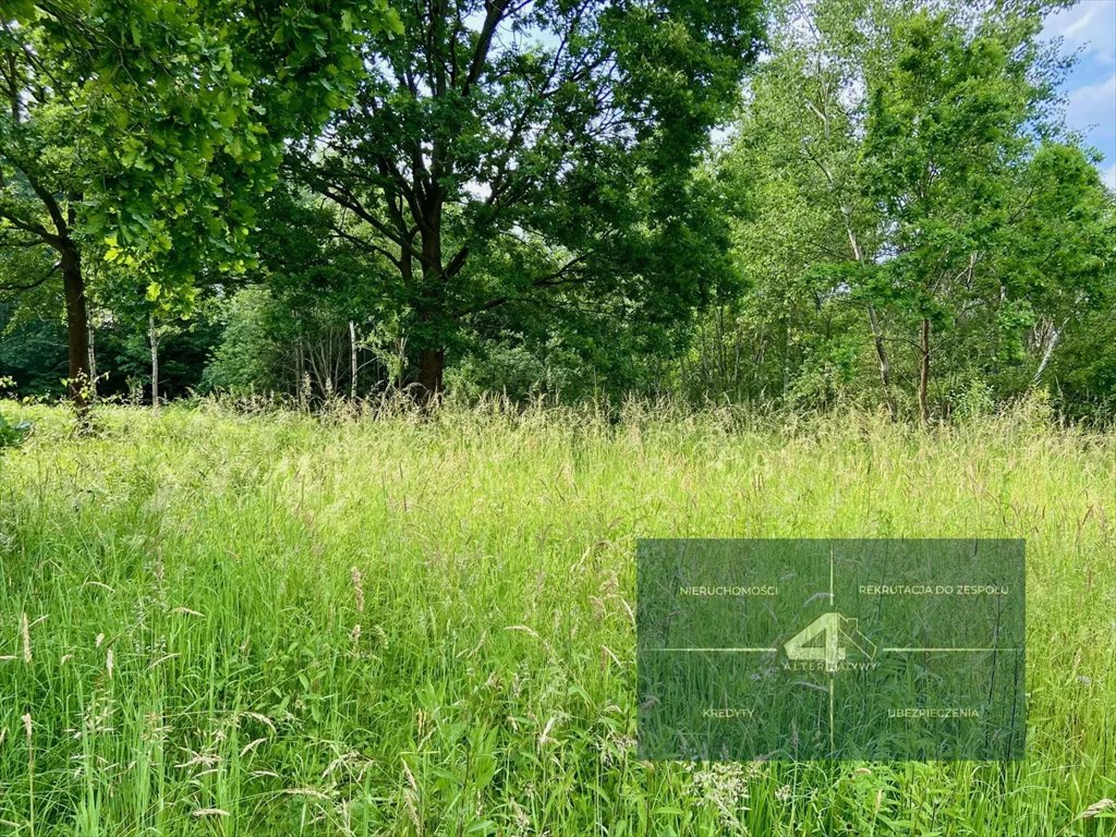 Działka budowlana na sprzedaż Łyczanka  2 500m2 Foto 4