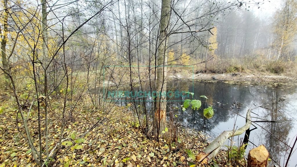 Działka budowlana na sprzedaż Janinów  21 811m2 Foto 15