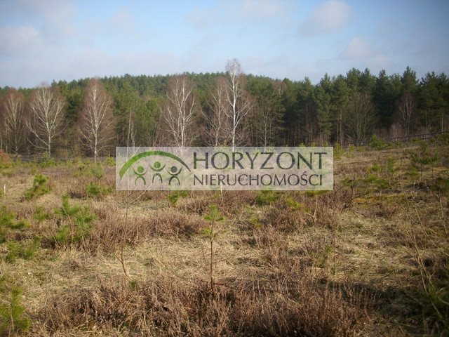 Działka budowlana na sprzedaż Gołubie 972m2 Foto 1 Działka budowlana na sprzedaż Gołubie 972m2 Foto 1