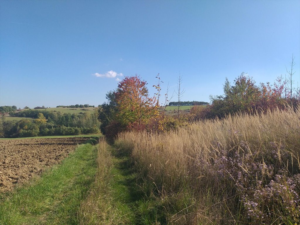 Działka rolna na sprzedaż Makowiska  1 133m2 Foto 5