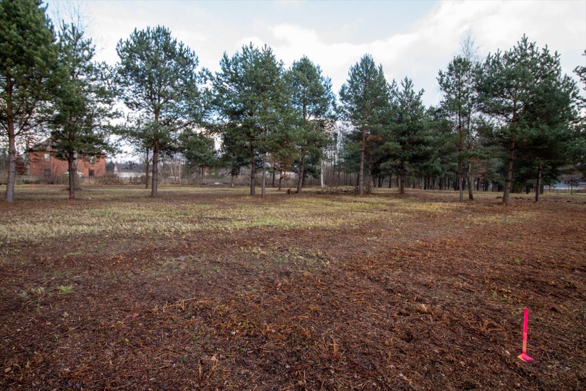 Działka budowlana na sprzedaż Koszęcin, Słowików  1 099m2 Foto 9