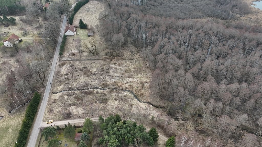 Działka rolna na sprzedaż Rogojny  3 000m2 Foto 7