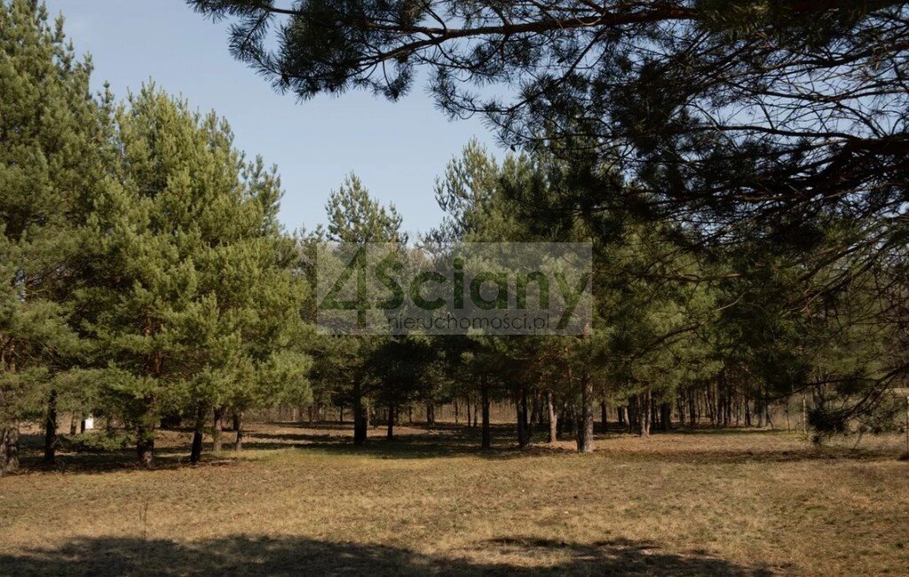 Działka 1001 m² z naturą i szybkim dojazdem do Warszawy Rajszew  1 001m2 Foto 1