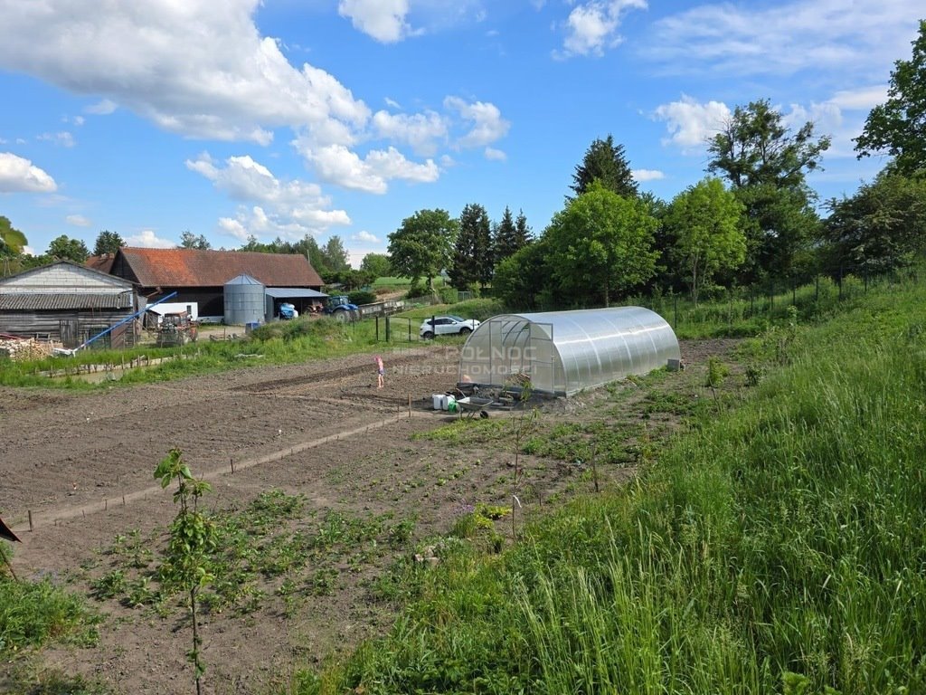 Działka budowlana na sprzedaż Patryki  1 545m2 Foto 2