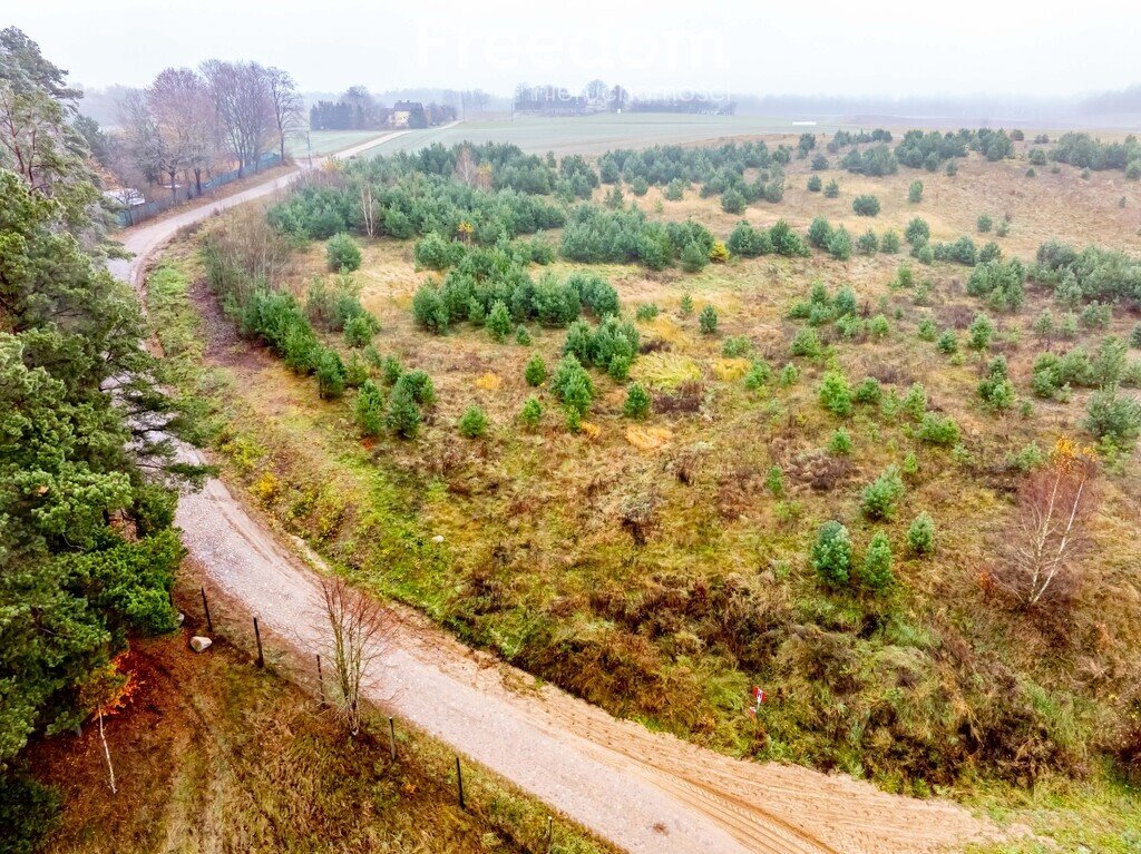 Działka budowlana na sprzedaż Czarna Huta, Szara  15 200m2 Foto 5