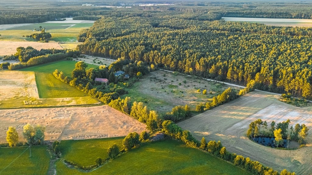 Widok na las, 5 min od miasta: Nowy Dwór
