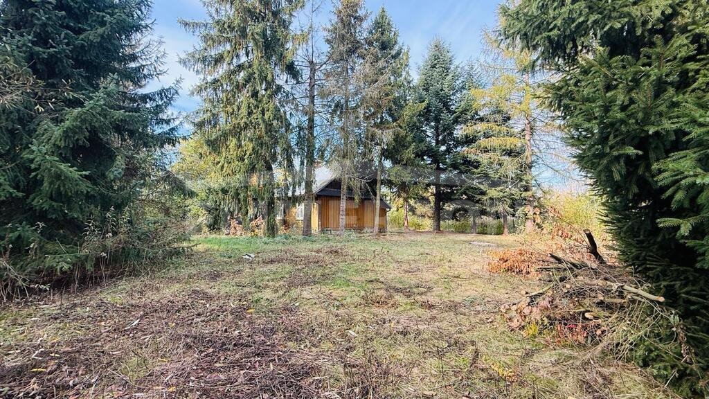 Na sprzedaż działka 53 arów z możliwością podziału w Woli Batorskiej Wola Batorska  5 300m2 Foto 1
