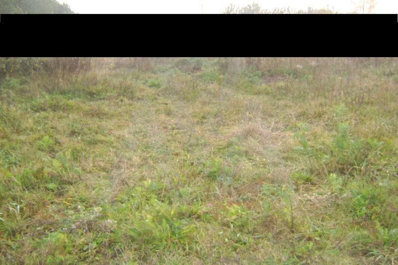Działka budowlana na sprzedaż Kębłowo, Topolowa 813m2 Foto 1 Działka budowlana na sprzedaż Kębłowo, Topolowa 813m2 Foto 1