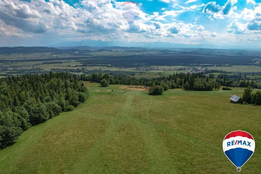 Działka rolna na sprzedaż Knurów  7 103m2 Foto 2