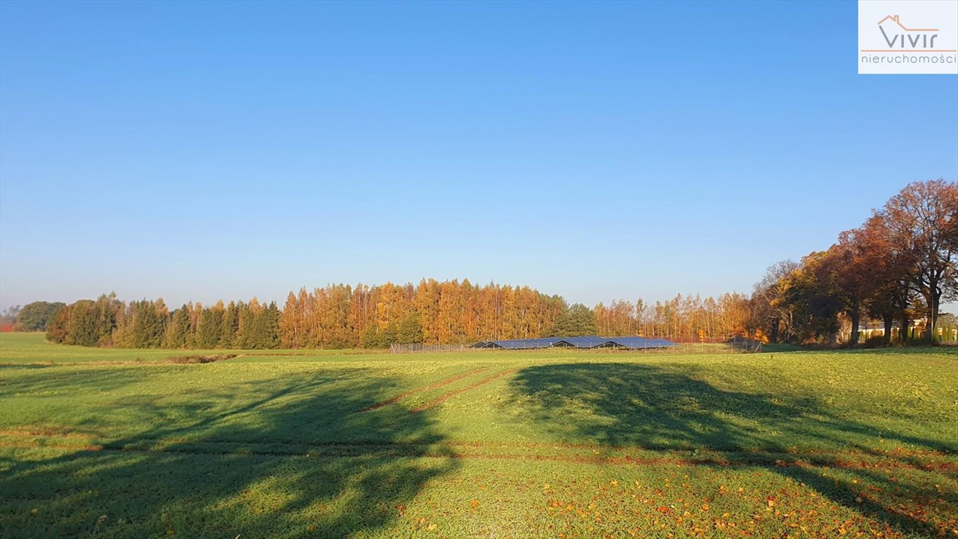 Działka inna na sprzedaż Rumsko  26 811m2 Foto 1