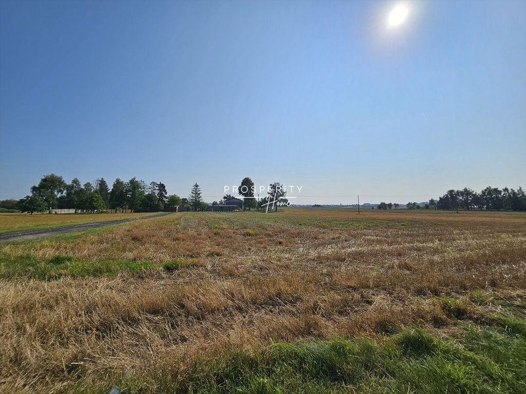 Działka budowlana na sprzedaż Rębiska, Jodłowa  1 004m2 Foto 1