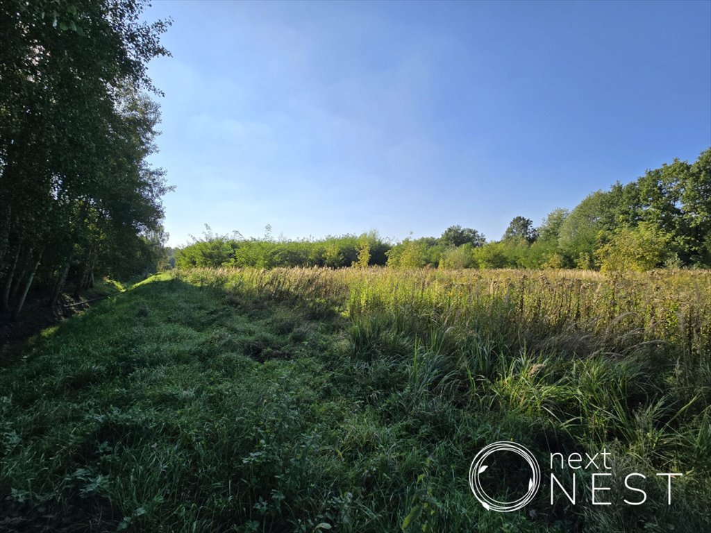 Działka budowlana na sprzedaż Rusiec, Turkusowa  1 050m2 Foto 4