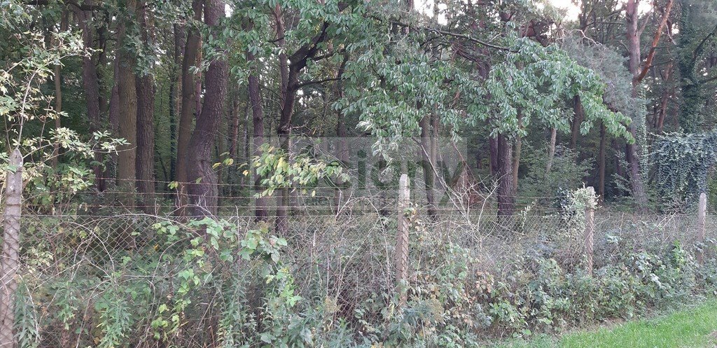 Działka budowlana na sprzedaż Magdalenka  3 500m2 Foto 1