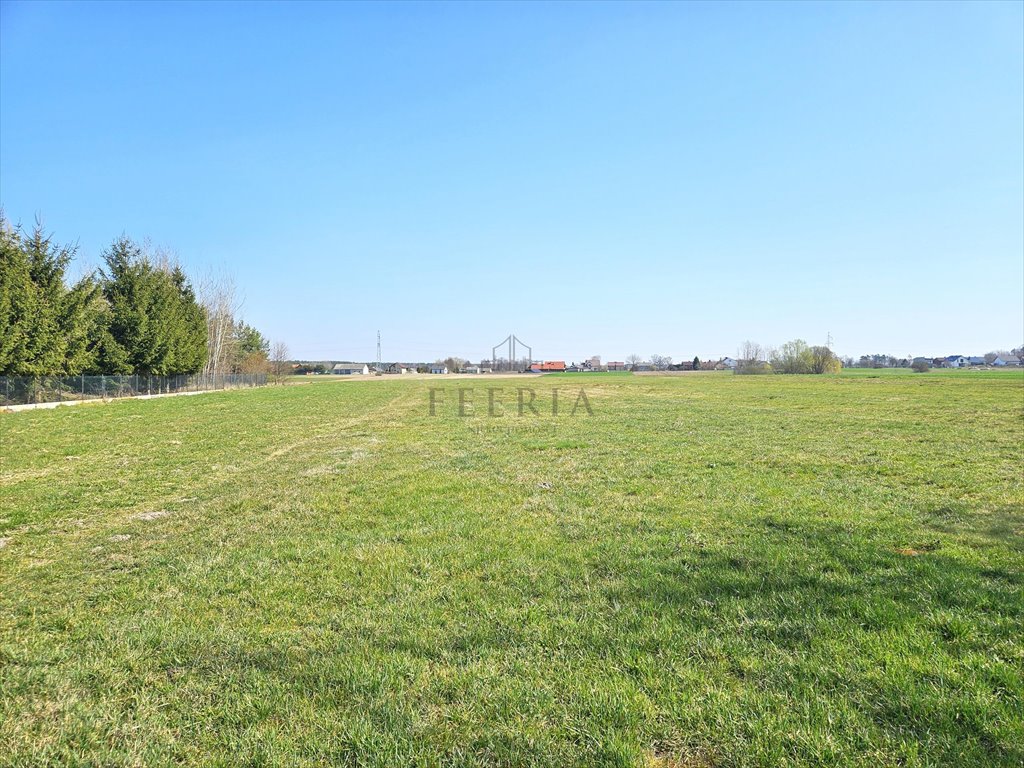 Działka budowlana na sprzedaż Brzustówek  3 900m2 Foto 1