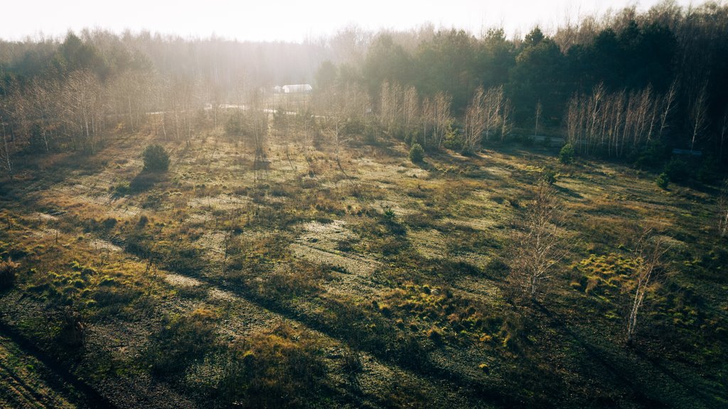 Działka budowlana na sprzedaż Konarzew  1 490m2 Foto 7