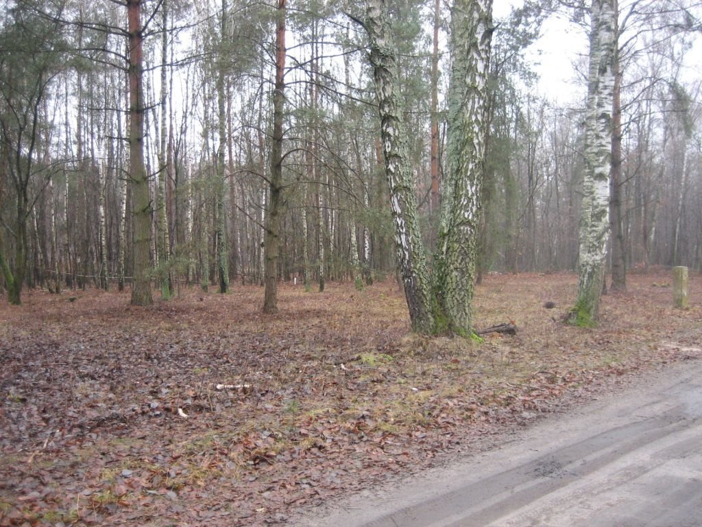 Działka budowlana na sprzedaż Aleksandrów Łódzki, obok Rezerwatu Przyrody  819m2 Foto 7