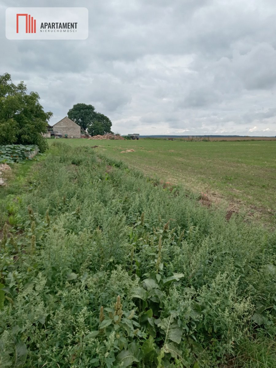 Działka budowlana na sprzedaż Parlin  1 000m2 Foto 2