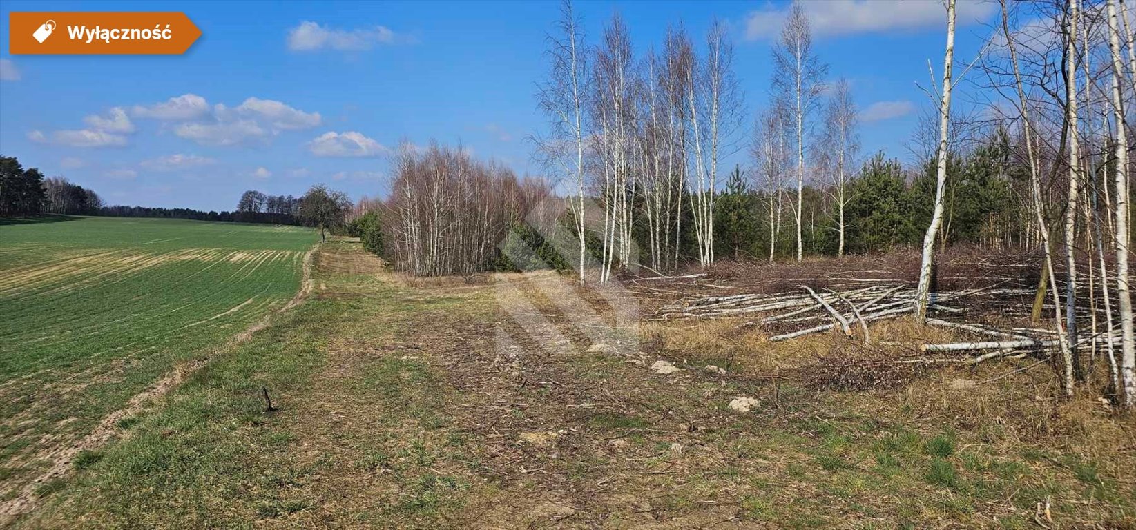 Działka budowlana 1167 m2 z mediami, blisko zieleni Nowy Jasiniec  1 167m2 Foto 1