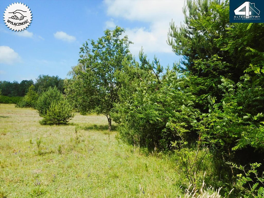 Działka budowlana na sprzedaż Pabianice, Pabianicka  1 114m2 Foto 2