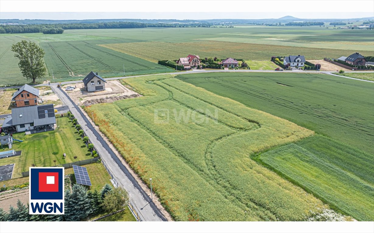 Działka budowlana na sprzedaż Warta Bolesławiecka, Centrum  1 500m2 Foto 6