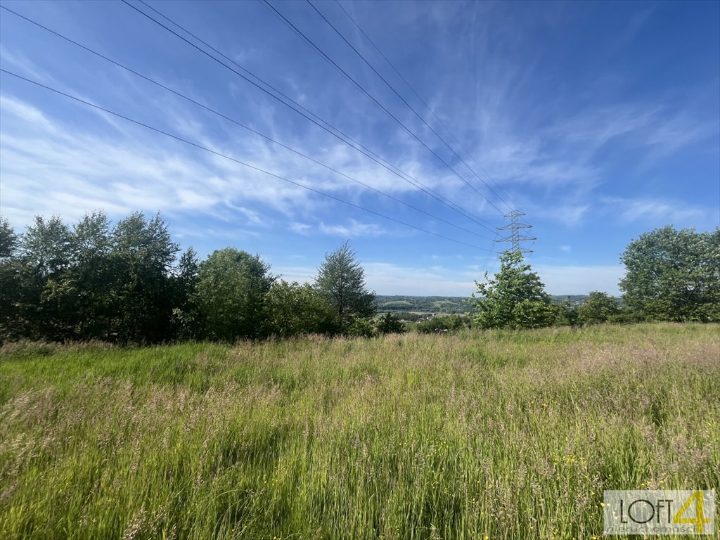 Działka inna na sprzedaż Zabłędza  6 300m2 Foto 4