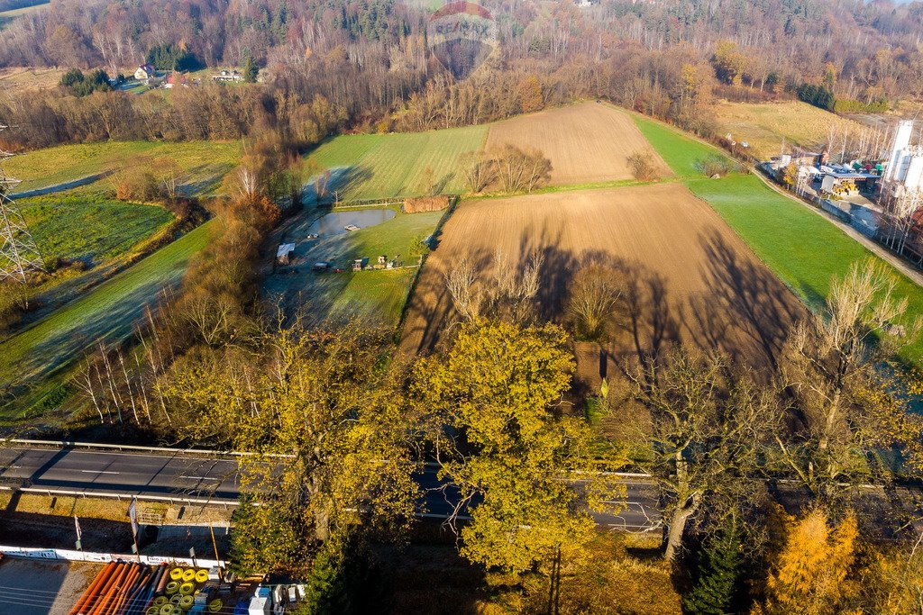 Działka komercyjna na sprzedaż Krzywaczka  8 200m2 Foto 15