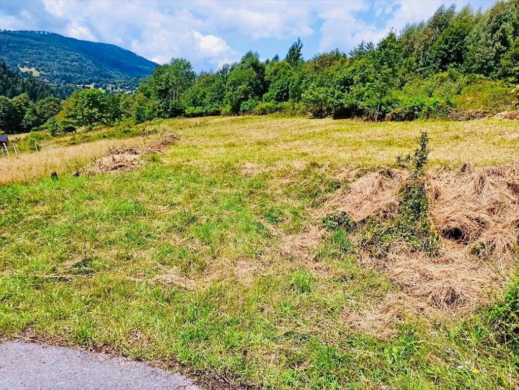 Działka budowlana na sprzedaż ZAWOJA  3 000m2 Foto 1