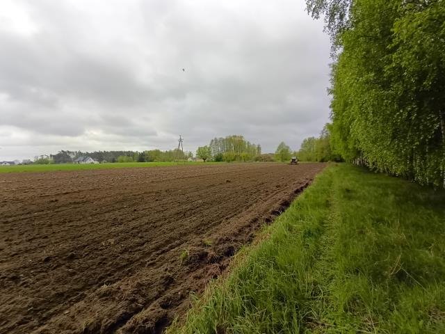 Działka rolna na sprzedaż Smogorzewo Pańskie  58 800m2 Foto 12