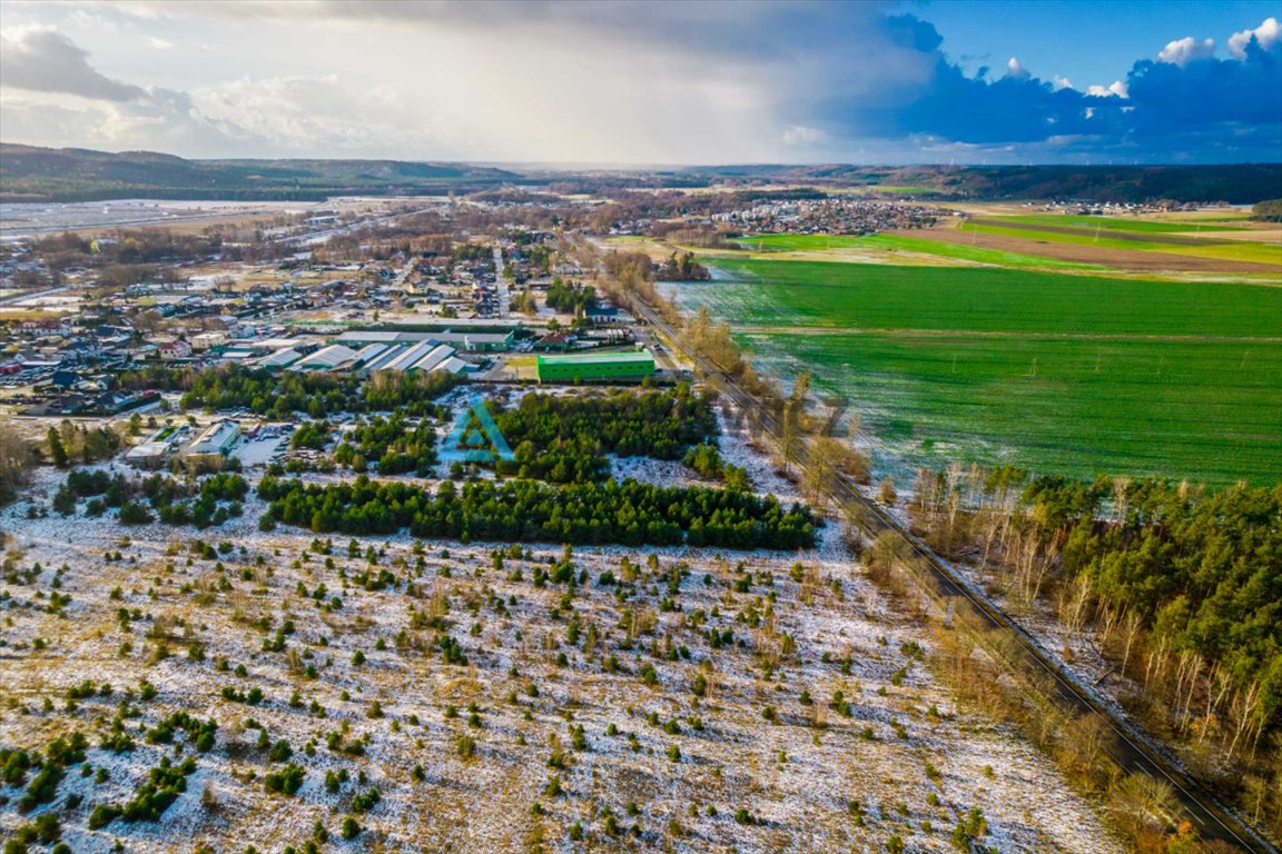 Działka przemysłowo-handlowa na sprzedaż Bożepole Małe  36 800m2 Foto 5