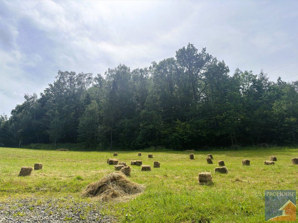 Działka budowlana na sprzedaż Limanowa  3 330m2 Foto 10