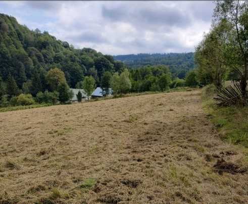 Działka inna na sprzedaż Lądek-Zdrój  3 000m2 Foto 5