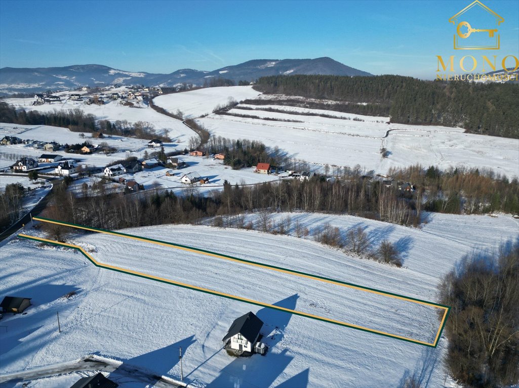 Działka budowlana na sprzedaż Krasne Potockie  4 200m2 Foto 3