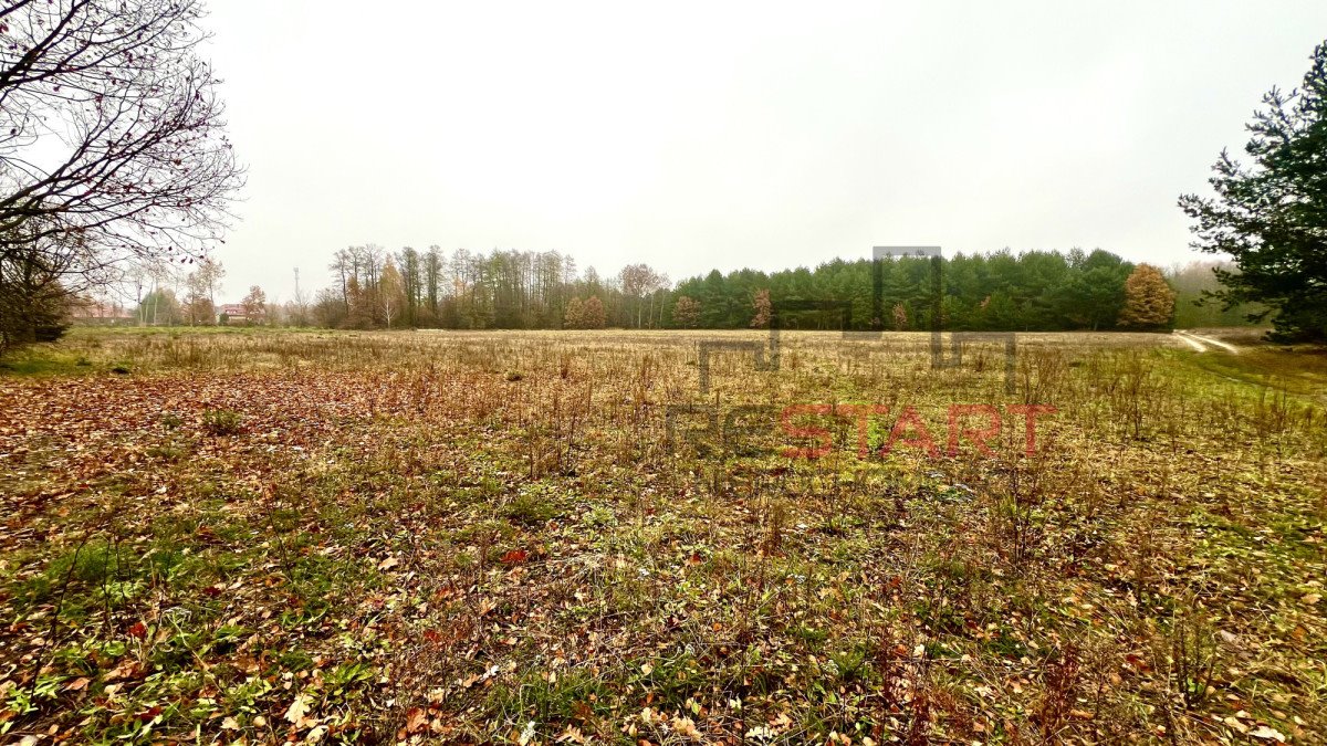 Działka budowlana na sprzedaż Puszcza Mariańska  1 200m2 Foto 3