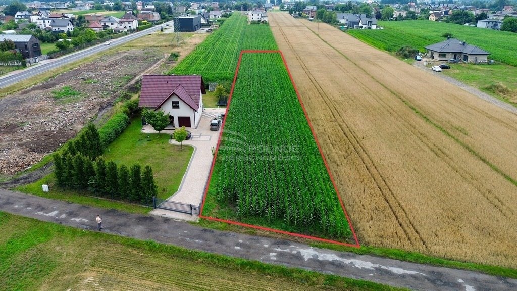 Działka budowlana na sprzedaż Paniówki, Skotnicka  2 500m2 Foto 3