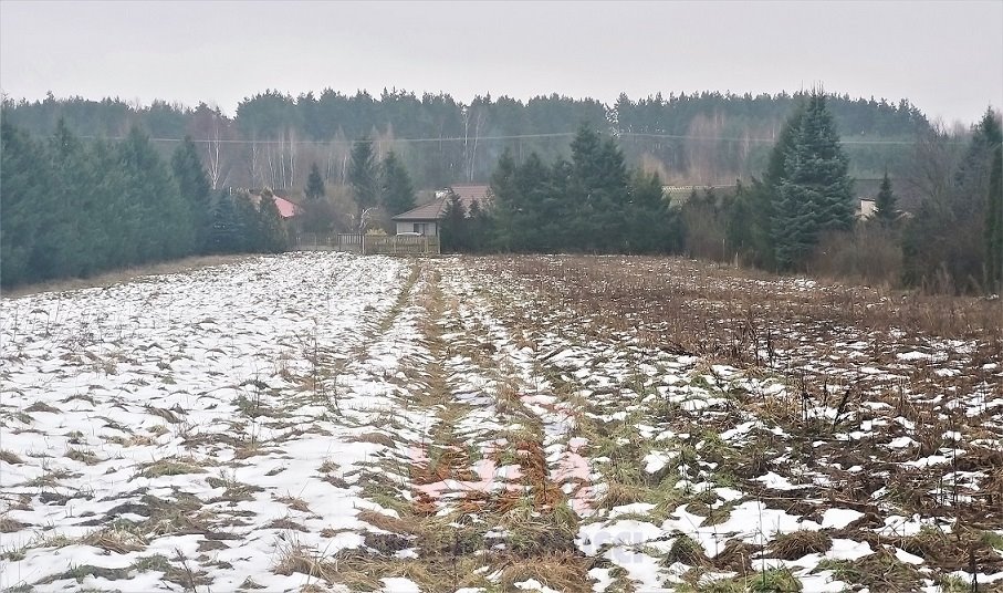 Działka siedliskowa na sprzedaż Mogielnica  33 800m2 Foto 15