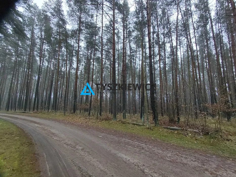 Działka leśna nad rzeką Kamionka 6500 m², spokój i natura Jęczniki Wielkie  6 500m2 Foto 1